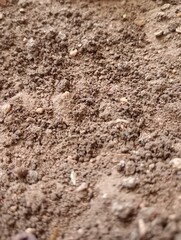 Combination of Mud and Small Stones