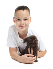 Obraz premium Child with cute Griffon puppy on white background. Domestic pet