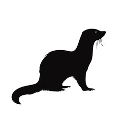 Black-footed ferret silhouette on white background.