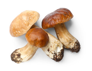 Fresh porcini mushrooms isolated on white, top view