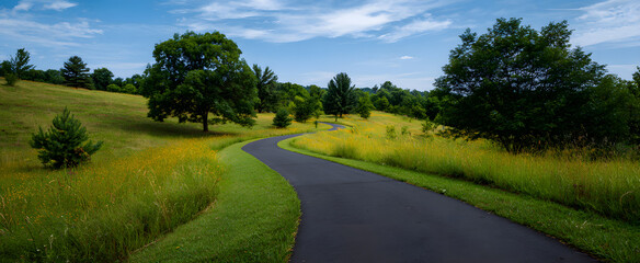 outdoor cycling path meandering through a beautiful nature spot and green landscape