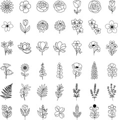 Collection of hand drawn botanical illustrations featuring various flowers and plants in black and white