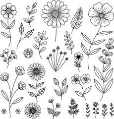 Collection of hand drawn botanical illustrations featuring delicate flowers and leaves in outline style