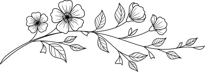 Delicate hand drawn botanical illustration of a flowering branch with leaves and buds