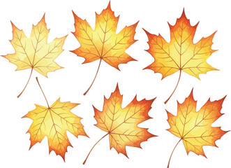 Six beautiful watercolor painted autumn maple leaves in yellow orange and red hues