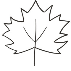 vector illustration of a leaf png black ink pencil doodle