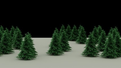 Dense Forest of Evergreen Trees