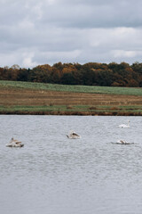 autumn photos, nature in autumn, autumn colors