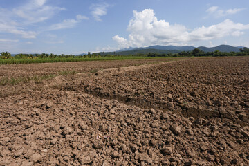 Vast plowed field with rich brown soil and furrow ready for planting. tranquil agriculture landscape view with distant mountain, green vegetation, and beautiful blue sky