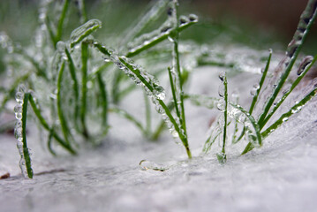 Au plus près du froid