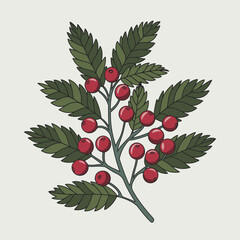 Minimalist cranberry branch outline with red berries – Great for food design projects, botanical prints, or clean vector art