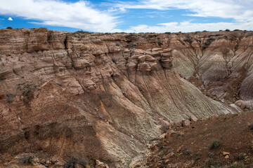 Scenic view of canyon Petrified Forest National Park, Arizona, USA. Vibrant desert landscape with cloudy sky, eroded hills.