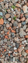a collection of various gravel or small stones.