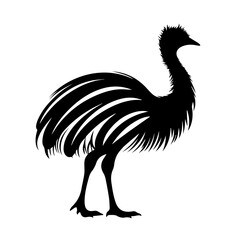 Black and White Silhouette of Emu with Elegant Feathers for Nature Blogs, Wildlife Websites, Educational Content, and Art Illustrations