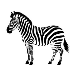 Obraz premium Black and White Silhouette of a Zebra for Wildlife Blogs, Conservation Education, Animal Awareness Campaigns, and Nature Photography Websites