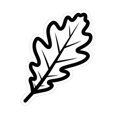 Oak leaf isolated on transparent background simple oak leaf illustration in black and white for autumn or fall season