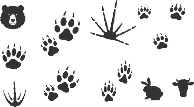 animal footprints silhouettes showing wildlife trails adding a natural educational element to outdoor themed designs