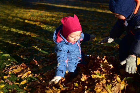 Two toddlers in colorful overalls play together, picking up and holding bright autumn leaves in warm sunlight, enjoying outdoor fun and friendship on a beautiful fall day.
