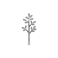 Minimalist Tree Illustration: Delicate Outlines of Leaves and Branches