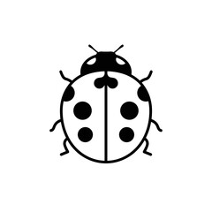 Obraz premium Simple Black and White Ladybug Illustration with Detailed Spots