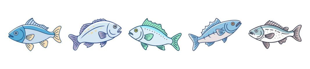 Abstract sea bass fish aquatic life marine biology ocean underwater scene