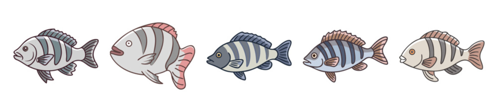 A line of five sheepshead fish side profile detailed grayscale rendering