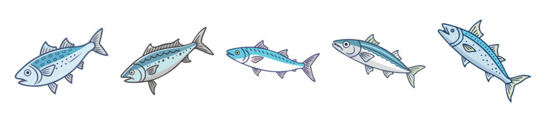 Obraz premium Collection of detailed spanish mackerel illustrations for culinary and educational use