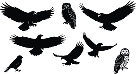 Bird silhouette vector illustration, black and white, flying and perched poses, owl and hawk icons, wildlife theme, nature design, avian graphic art