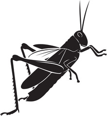 Detailed black silhouette of a grasshopper insect creature detailed outline isolated on white