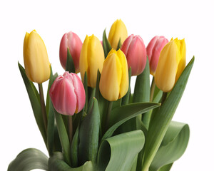 Vibrant bouquet of fresh pink and yellow tulips bursting with spring color, perfect for celebrations and joyful occasions