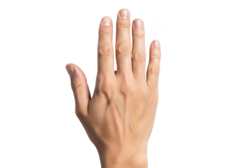 A human hand with fingers spread open, isolated on transparent background