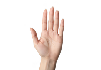 A human hand raised with fingers spread, isolated on a transparent background