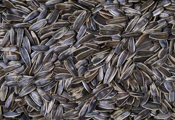 Striped sunflower seeds as background, close up view.