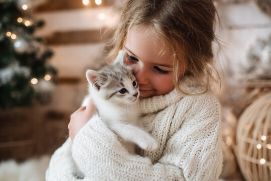 Cute little girl hugging her cat in Christmas. Little girl in a white knitted sweater. Holiday concept. Postcard. New Year - Powered by Adobe