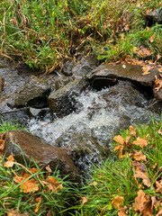 Landscapes in the area of Overijssel in The Netherlands