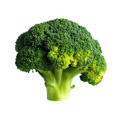 A vibrant head of fresh, green broccoli isolated against a stark black background
