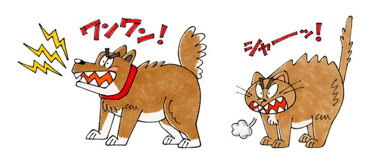 怒る犬と猫