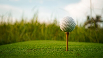 Golf ball on green grass in the evening golf course with sunshine background.