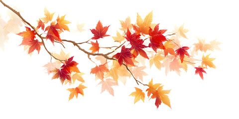 Fototapeta premium Autumn maple leaves glowing against a dark background
