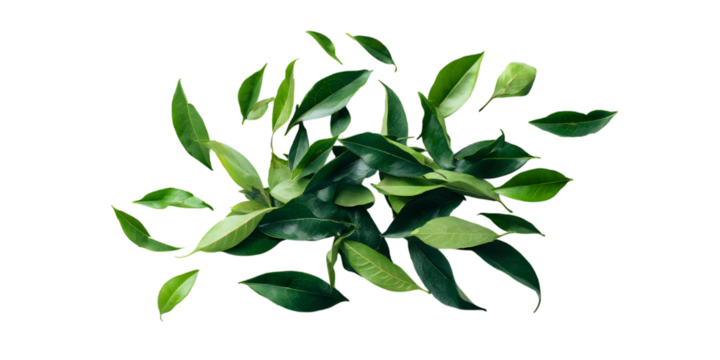Dark background with vibrant green leaves floating artfully - Powered by Adobe