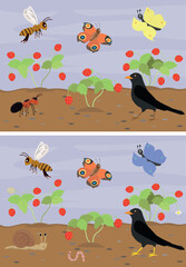 Game for children, find 8 differences on flower bed. Logical tasks for preschoolers vector illustration.