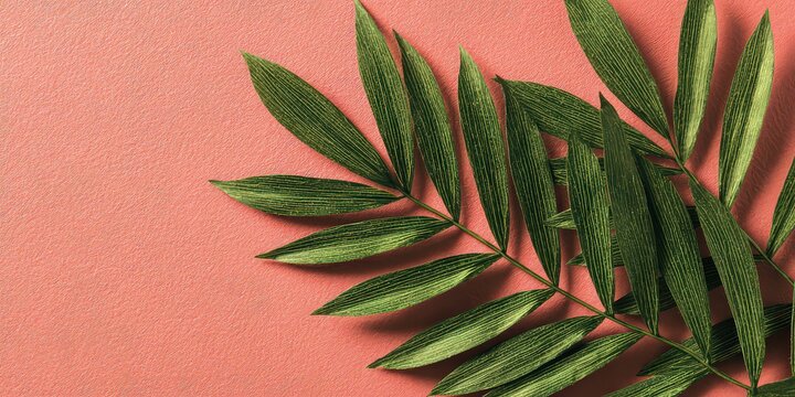 Close Up Shot Of Green Leaf With Yellow Spots Over Orange Background Texture