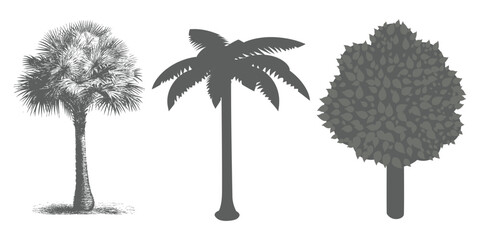 Set of Minimal CAD Tree Elements – Modern Line Art Symbols for Landscape and Architectural Design | Vector Foliage Outline Illustration