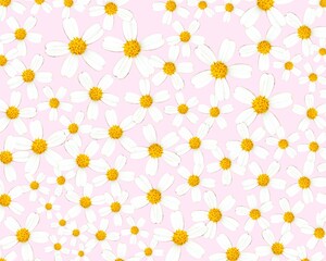 Spanish needles flowers pattern pink background layout photography