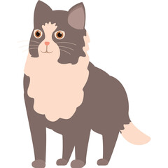 Gray and White Fluffy Cat Standing on Transparent Background