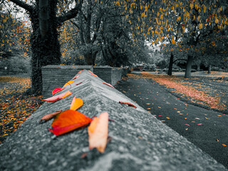 Warm Autumn Colors on the Riverside Walk and Gardens, Burton upon Trent, UK