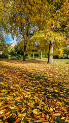 Warm Autumn Colors on the Riverside Walk and Gardens, Burton upon Trent, UK