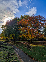 Warm Autumn Colors on the Riverside Walk and Gardens, Burton upon Trent, UK