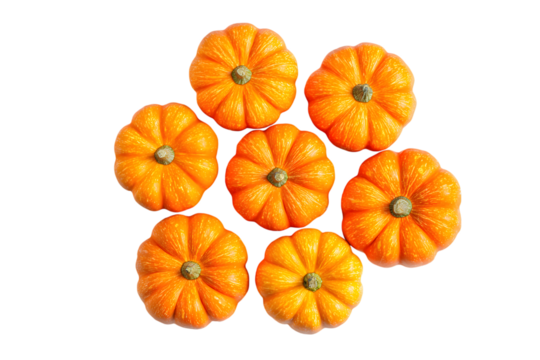 Seven small orange pumpkins arranged in a circle on black background