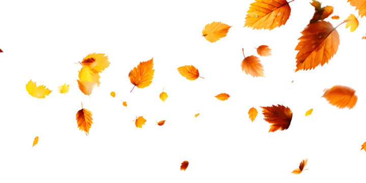 Autumn leaves falling against a dark background with reflections - Powered by Adobe